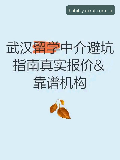 云开中国首页真的值得每天点开？避坑指南与真实体验深度分析